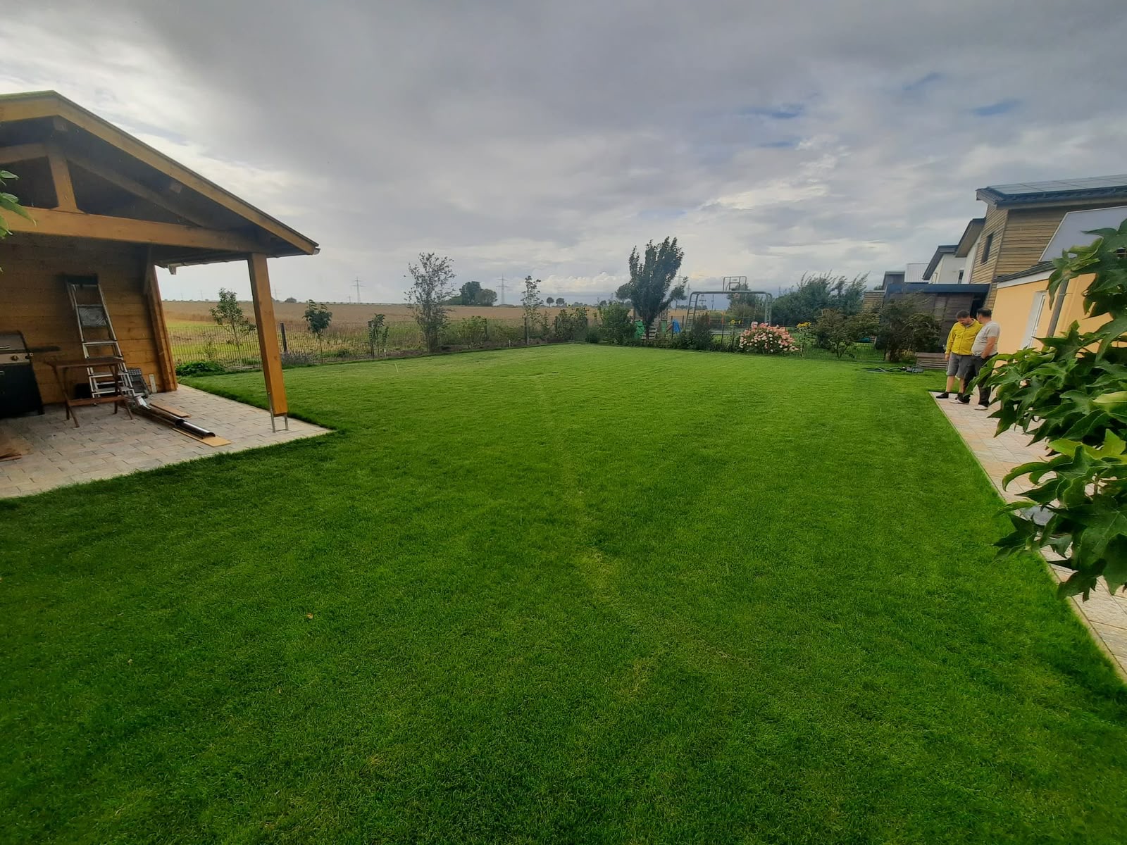 Neu angelegte Rasenfläche neben einem Gartenhaus
